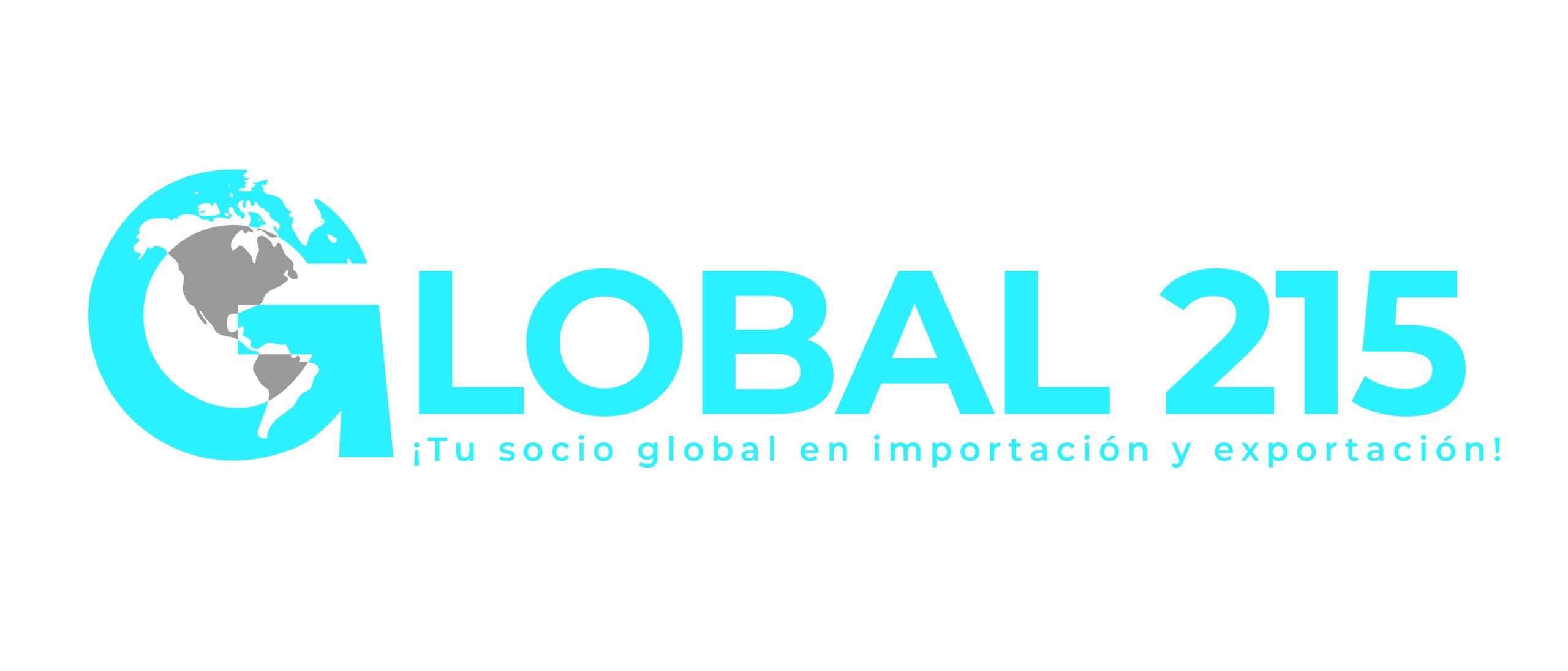 Global 215 LLC